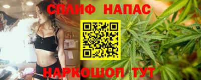 хмурый Новозыбков