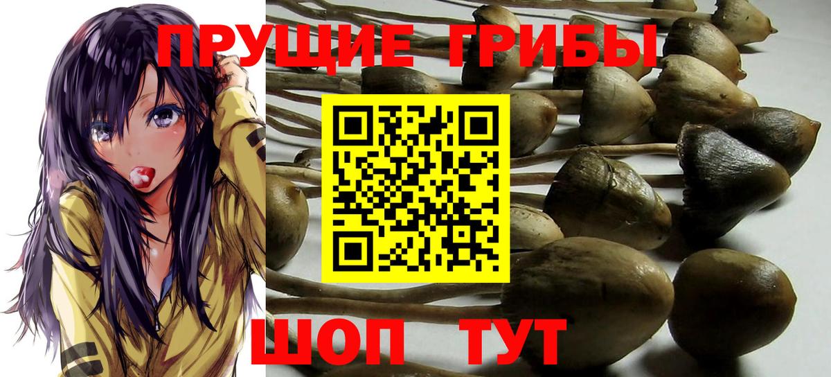 NBOMe Чебаркуль