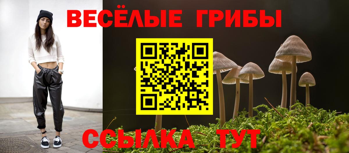 Псилоцибиновые грибы Cubensis Чебаркуль